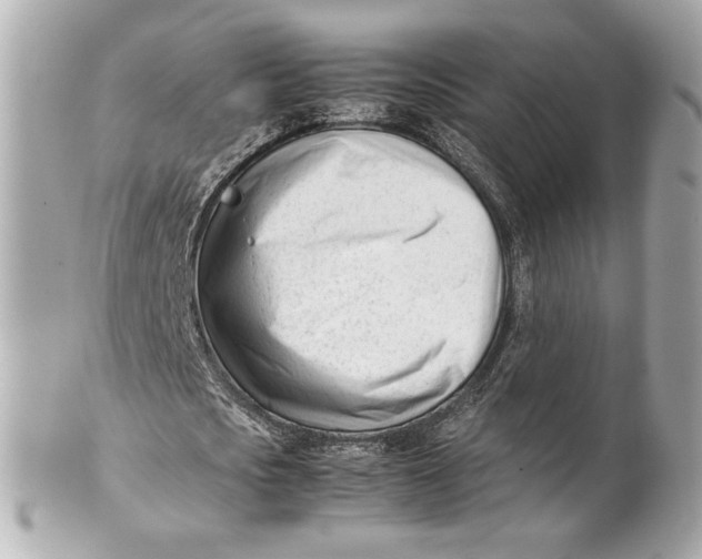 X0000101660721200807311434