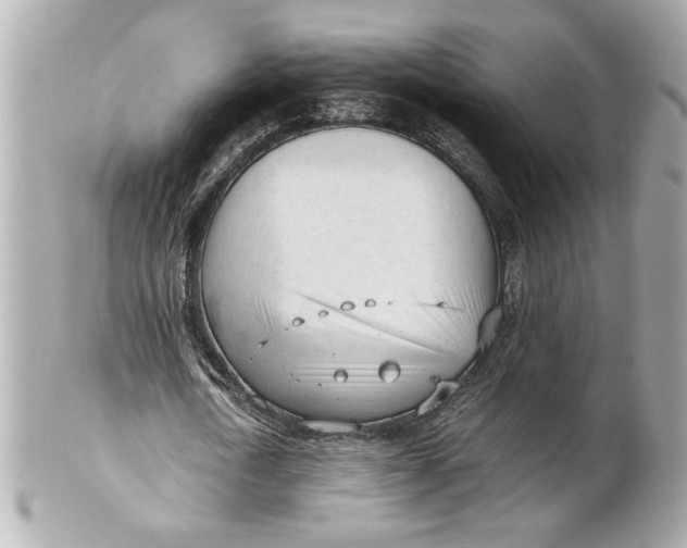 X0000101660722200807311434