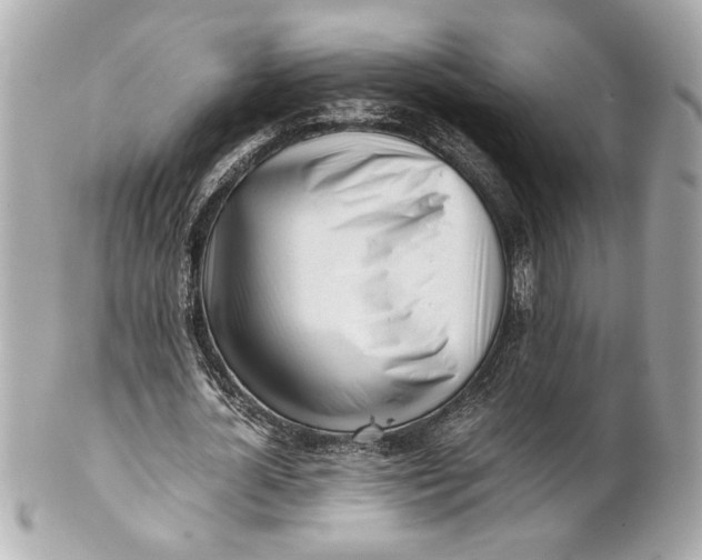 X0000101660724200807311434