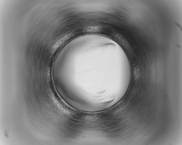 X0000101660725200807311434