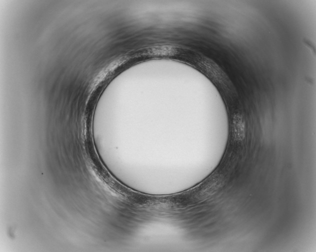 X0000101660726200807311434