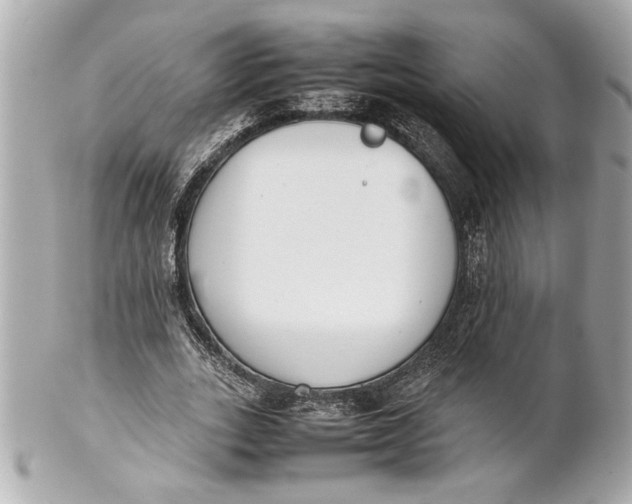 X0000101660727200807311434