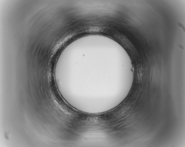 X0000101660728200807311434