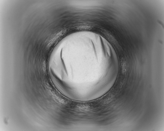 X0000101660729200807311434