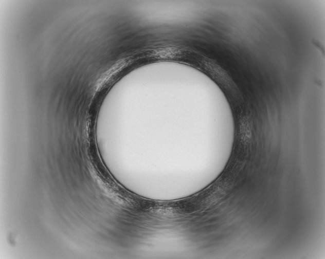 X0000101660730200807311434