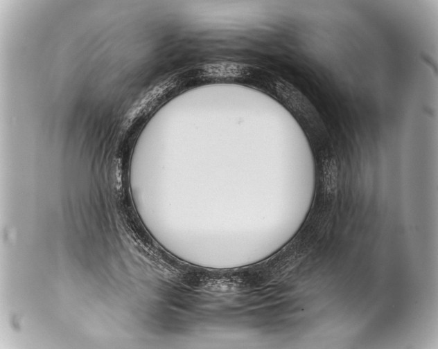 X0000101660731200807311434