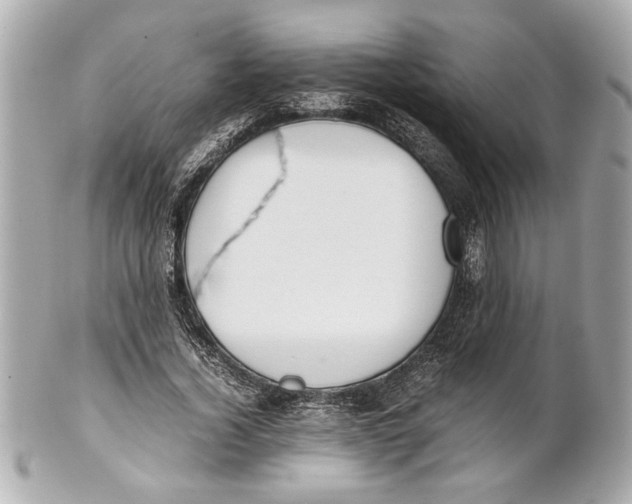 X0000101660732200807311434