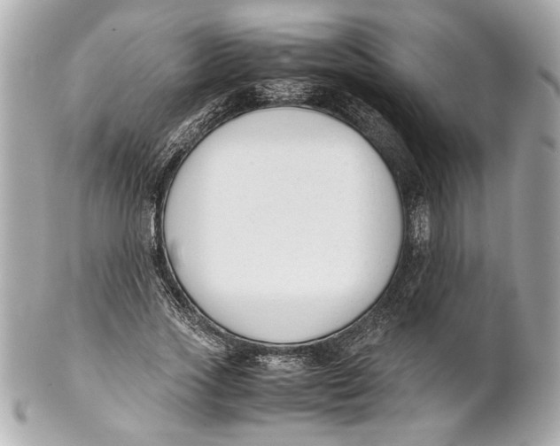 X0000101660733200807311434