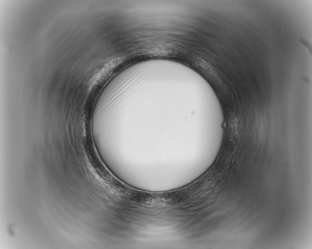 X0000101660734200807311434