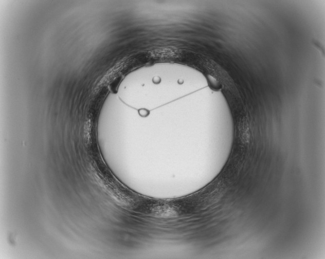 X0000101660735200807311434