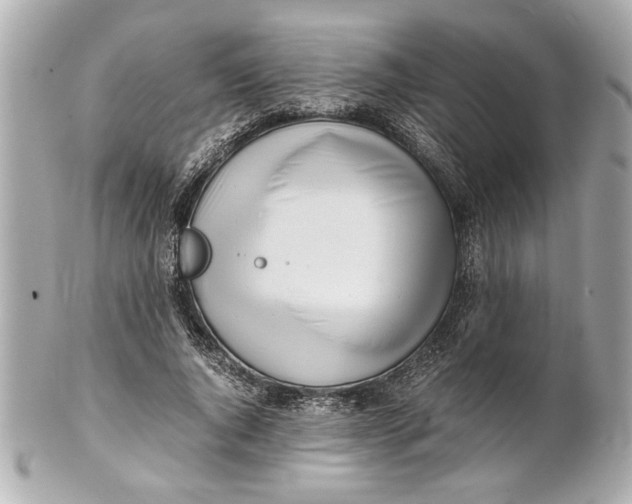 X0000101660736200807311434