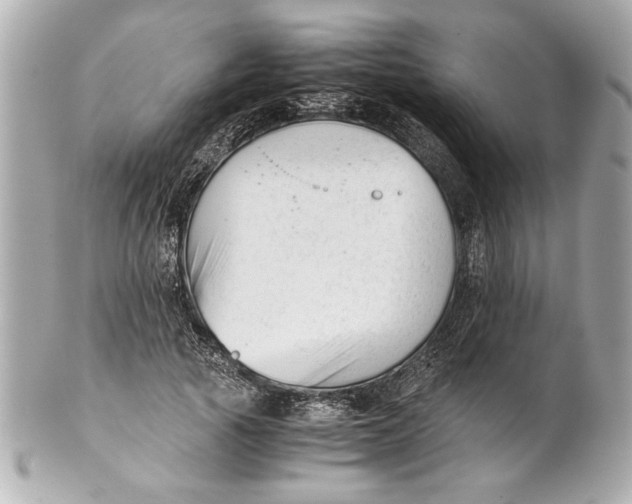 X0000101660737200807311435