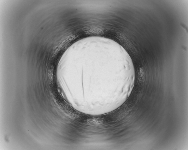 X0000101660739200807311435