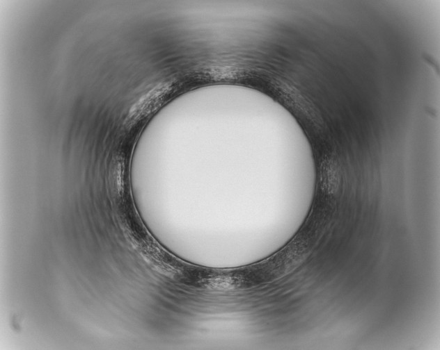 X0000101660740200807311435