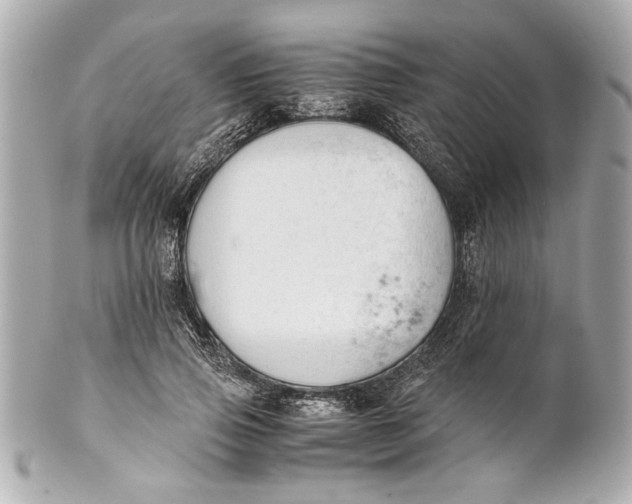 X0000101660741200807311435