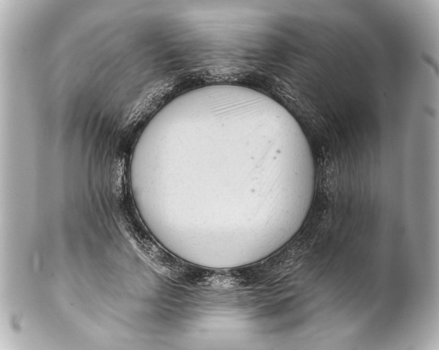 X0000101660742200807311435