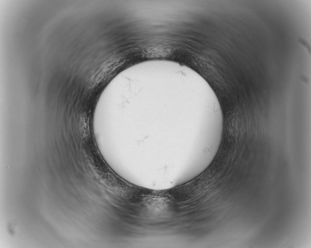 X0000101660743200807311435