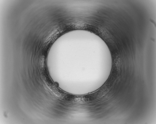 X0000101660744200807311435