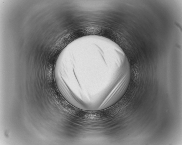 X0000101660745200807311435