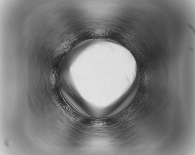 X0000101660746200807311435