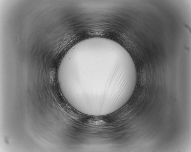 X0000101660747200807311435