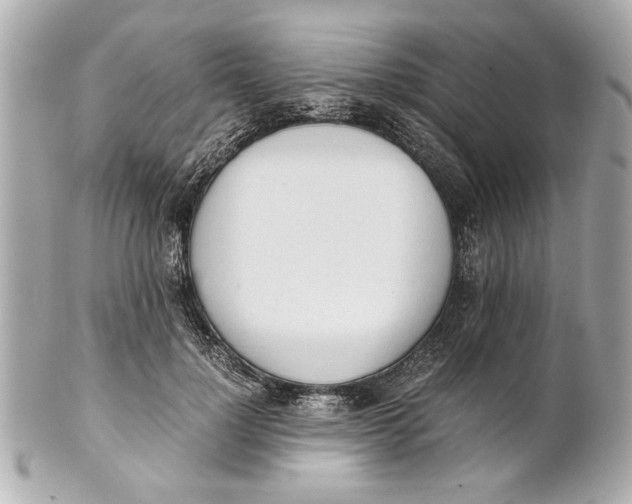 X0000101660748200807311435