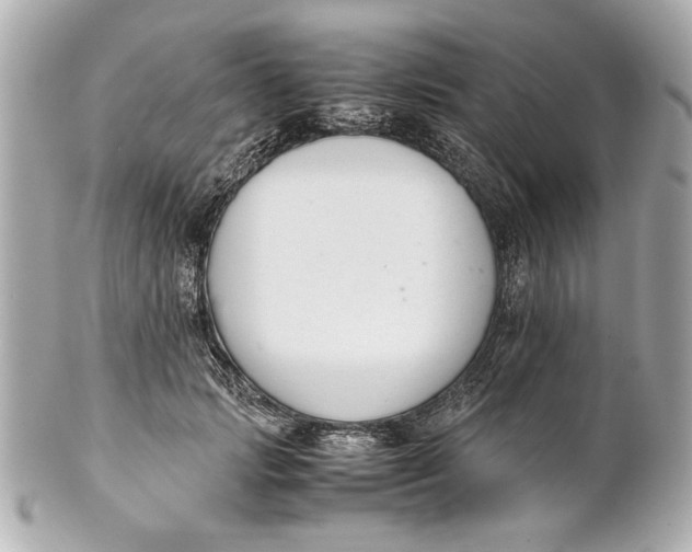 X0000101660749200807311435