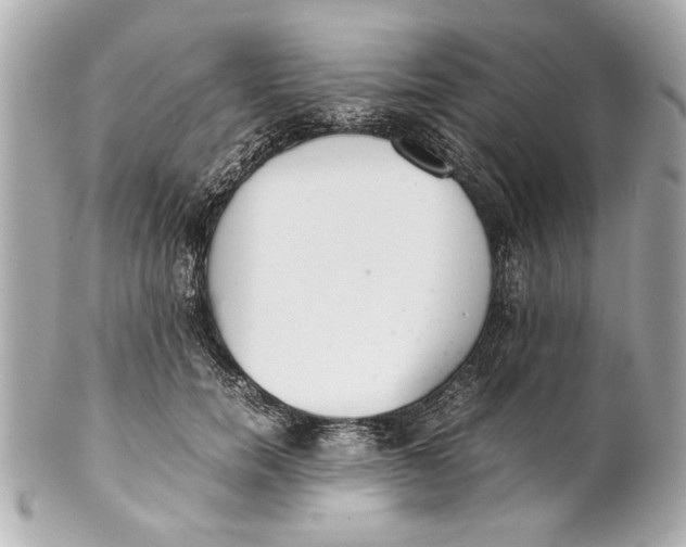 X0000101660750200807311435