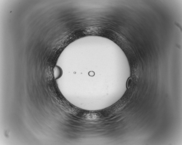 X0000101660751200807311435