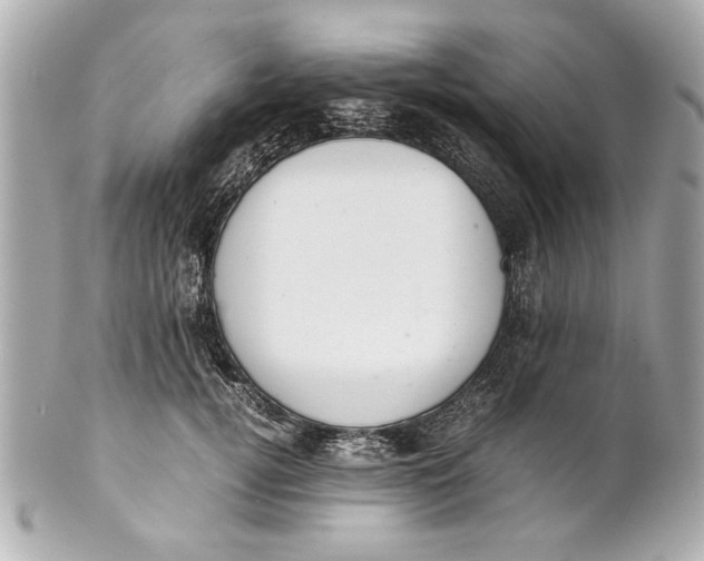 X0000101660752200807311435