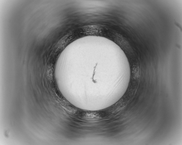 X0000101660753200807311435