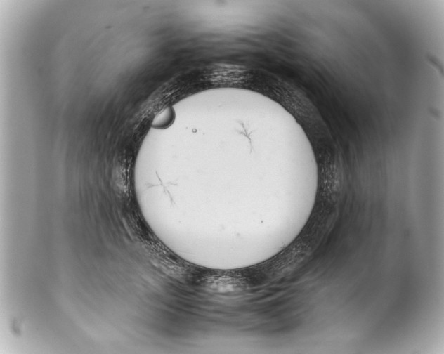 X0000101660755200807311435