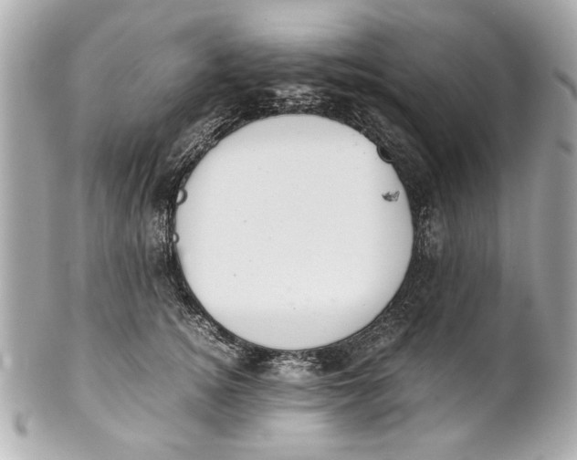 X0000101660756200807311435