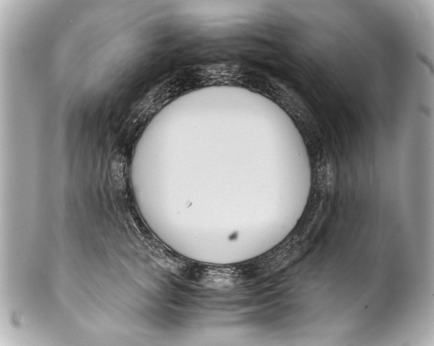 X0000101660757200807311435