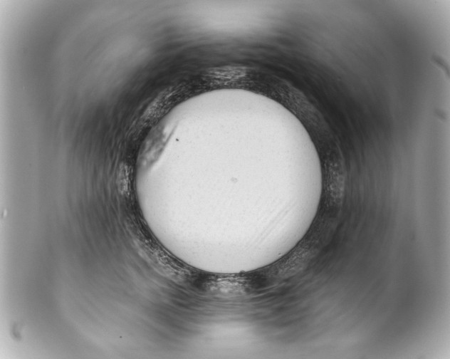 X0000101660758200807311435