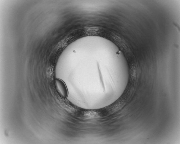 X0000101660759200807311435