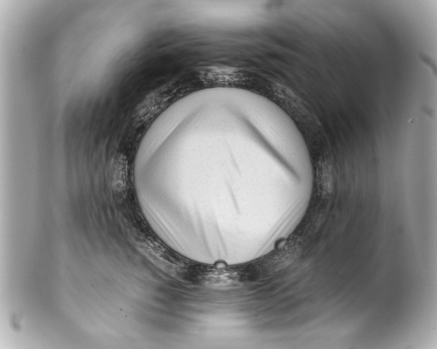 X0000101660760200807311435