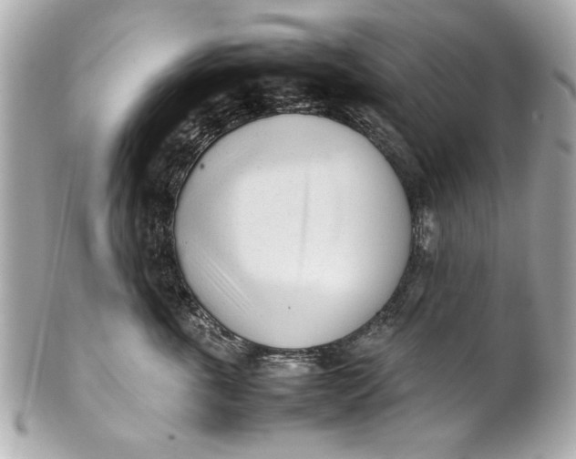 X0000101660763200807311435