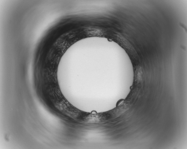 X0000101660764200807311435