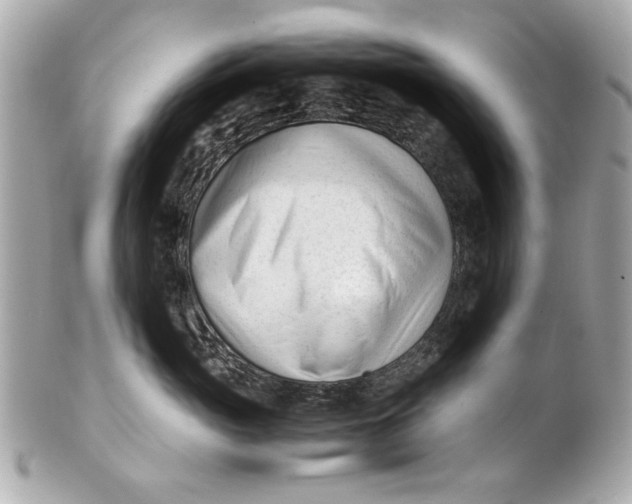 X0000101660765200807311435