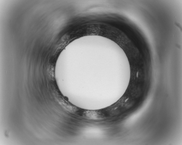 X0000101660766200807311435