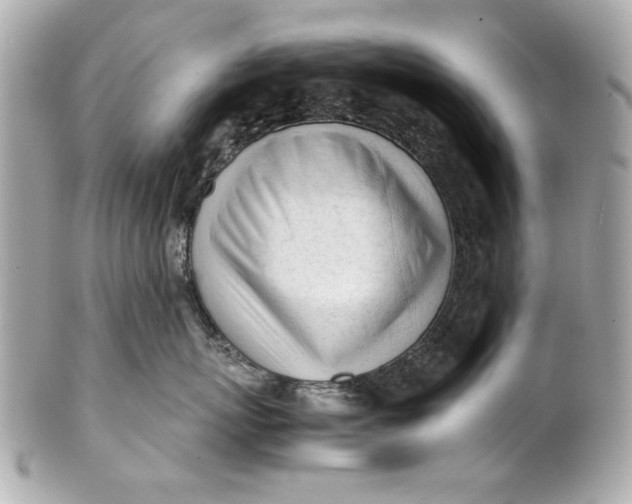 X0000101660767200807311435