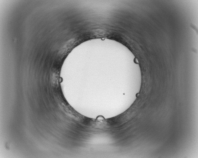 X0000101660768200807311435