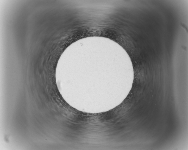 X0000101660769200807311434