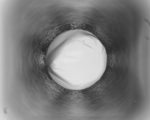 X0000101660770200807311434