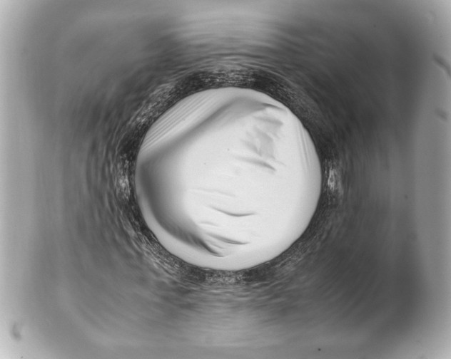 X0000101660771200807311434