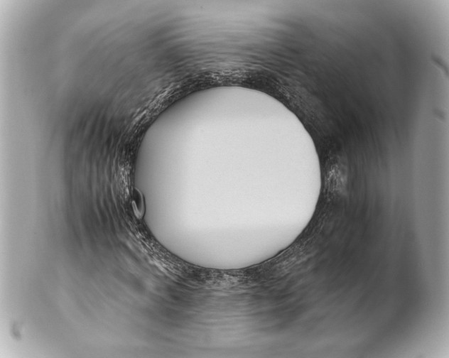 X0000101660772200807311434