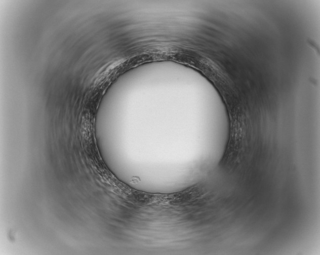 X0000101660773200807311434