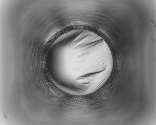 X0000101660775200807311434