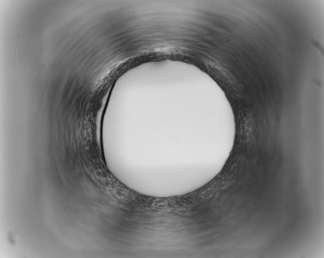 X0000101660776200807311434